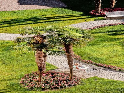 Holiday park Residence Carl & Do in Baveno - Outdoor photo 8