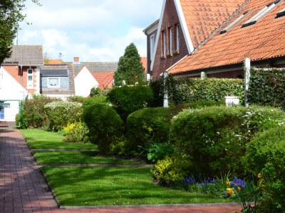 Holiday apartment auf dem Alten Gulfhof - Outdoor photo 3