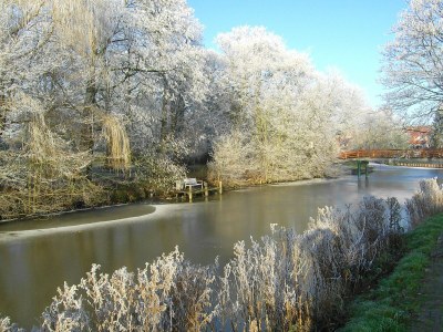 Holiday apartment auf dem Alten Gulfhof - Environment photo 16
