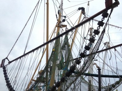 Holiday apartment auf dem Alten Gulfhof - Environment photo 28