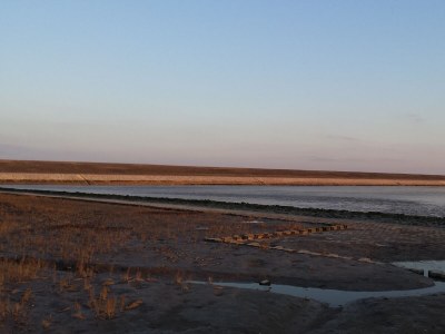 Holiday apartment auf dem Alten Gulfhof - Environment photo 29