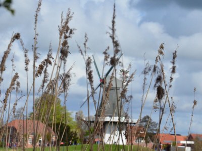 Holiday apartment auf dem Alten Gulfhof - Environment photo 33