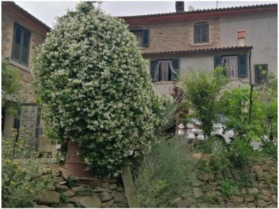 Holiday house Lepri House - Outdoor photo 7