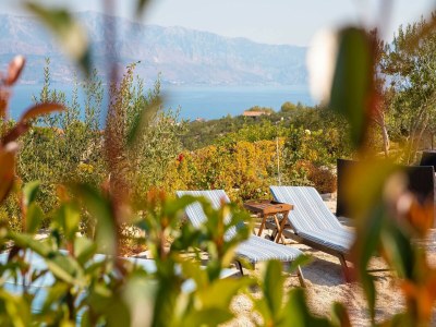 Villa 4 bedroom villa with swimming pool - Outdoor photo 7