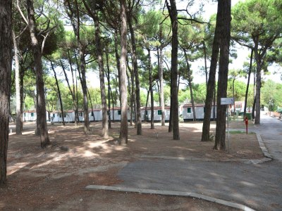 Holiday park Bungalow im Po-Delta mit Strandzugang - Outdoor photo 15