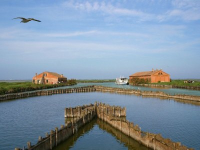 Holiday park Strandkomfort in Lido di Spina - Environment photo 27