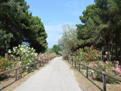 Holiday park Comfy Stay by Po Delta Park - Outdoor photo 39