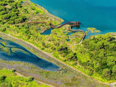 Apartment Angenehme Wohnung in Rosolina Mare mit Balkon - Environment photo 21