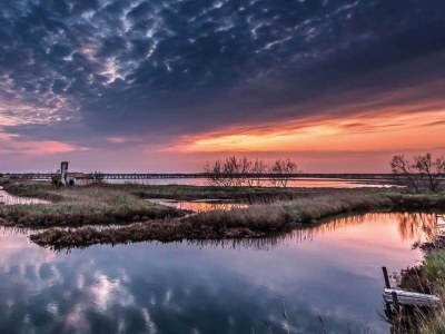 Apartment Angenehme Wohnung in Rosolina Mare mit Balkon - Environment photo 29