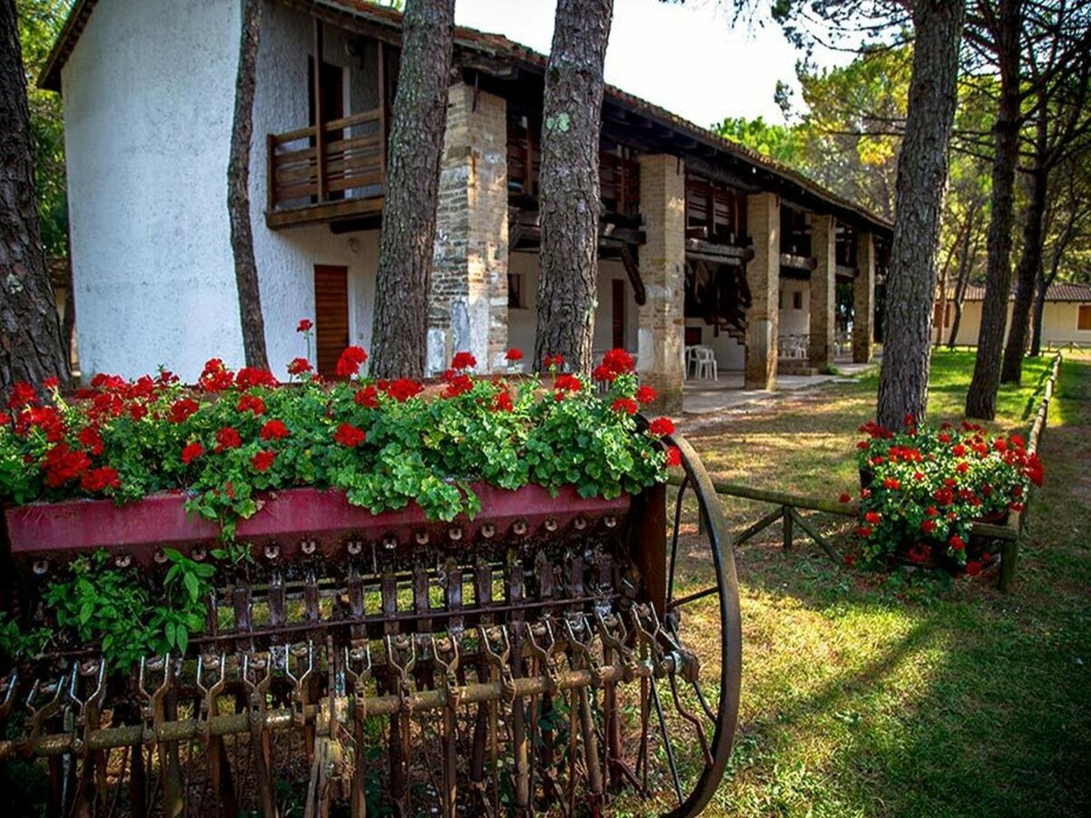 Holiday park Grado Apartment im Belvedere Resort