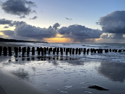 Holiday apartment Just a stone's throw from the beach - Environment photo 28