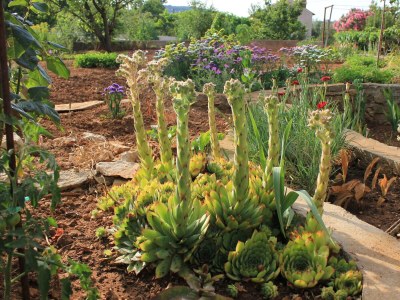 Apartment One bedroom apartment with terrace and sea view Kraj, Pašman A-331-b - Outdoor photo 9