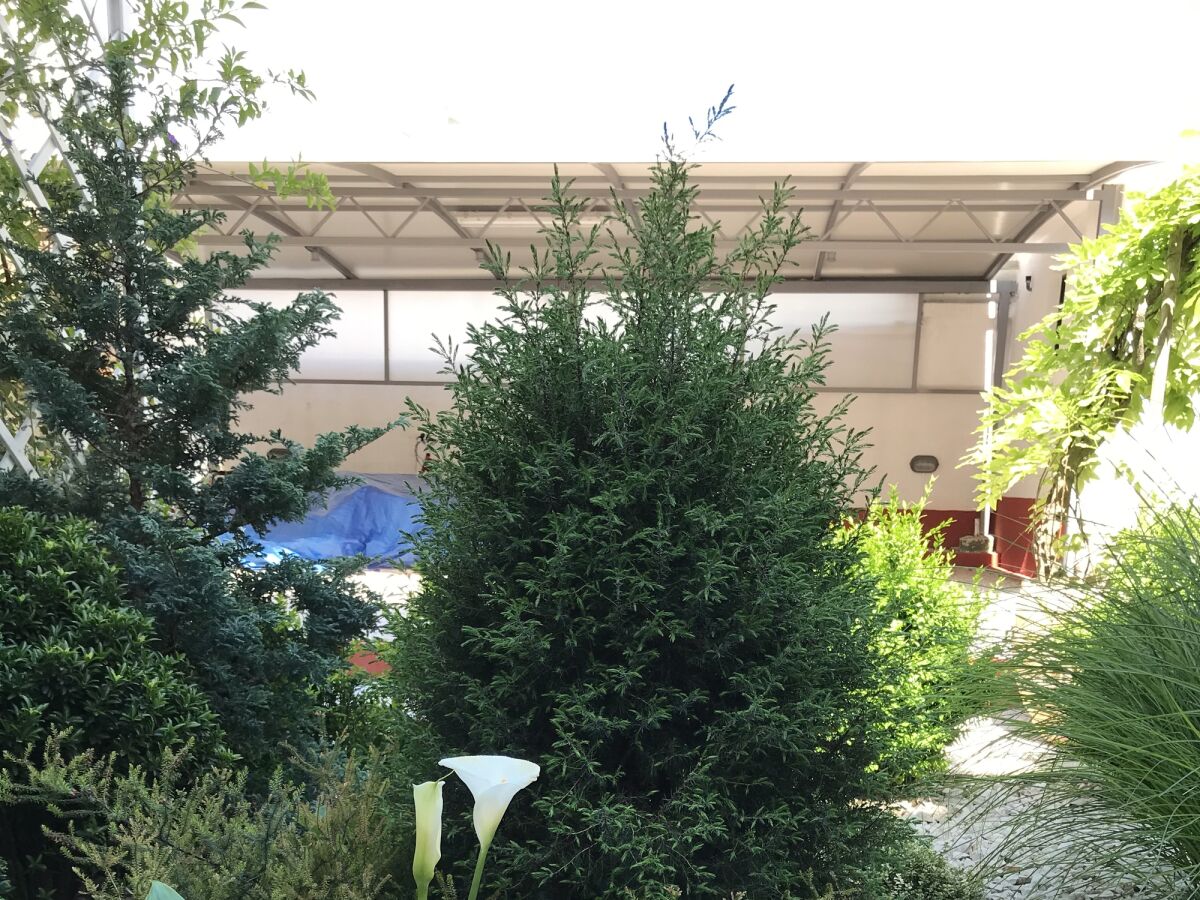 Apartment One bedroom apartment with terrace Primošten A-19232-b - Outdoor photo 5