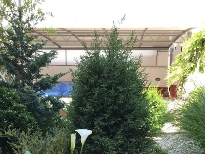 Apartment One bedroom apartment with terrace Primošten A-19232-b - Outdoor photo 5