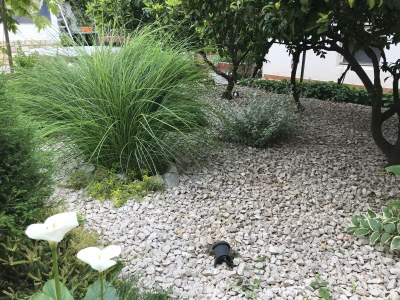 Apartment One bedroom apartment with terrace Primošten A-19232-b - Outdoor photo 8