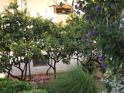 Apartment One bedroom apartment with terrace Primošten A-19232-b - Outdoor photo 9