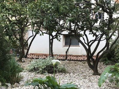 Apartment One bedroom apartment with terrace Primošten A-19232-b - Outdoor photo 11