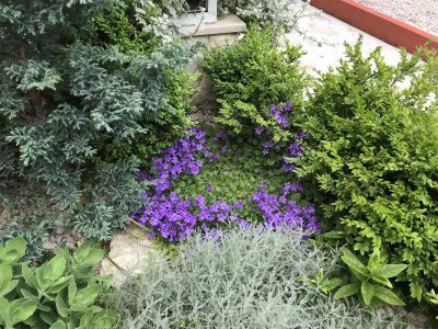 Apartment One bedroom apartment with terrace Primošten A-19232-b - Outdoor photo 12