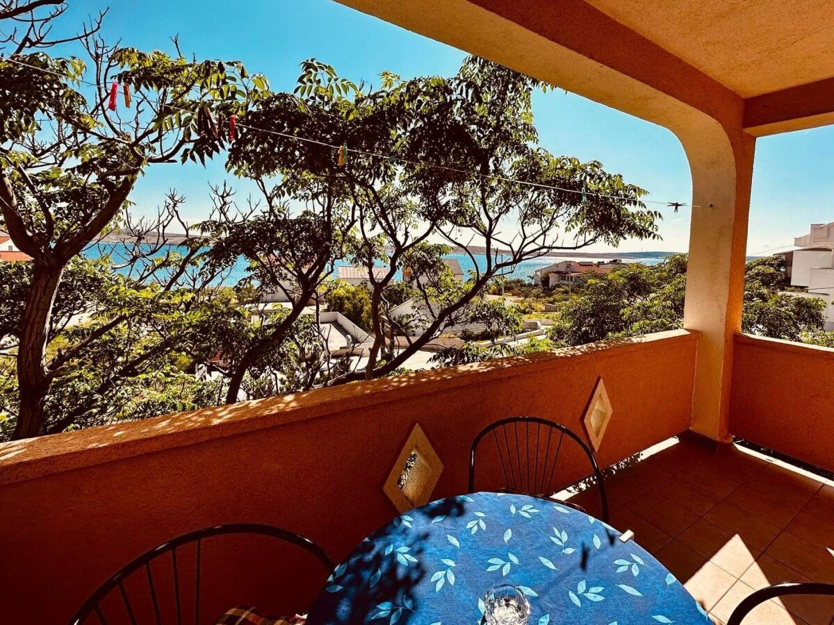 Apartment Two bedroom apartment with terrace and sea view Vidalići, Pag A-24330-a