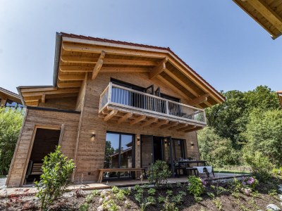 Chalet Chalet mit Sauna im Vital Camp Bayerbach - Outdoor photo 6