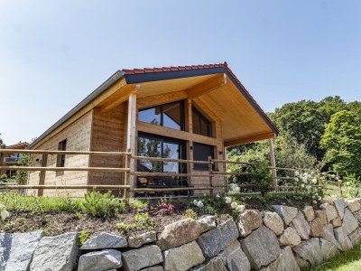Chalet ebenerdiges Chalet im Vital Camp Bayerbach - Outdoor photo 5