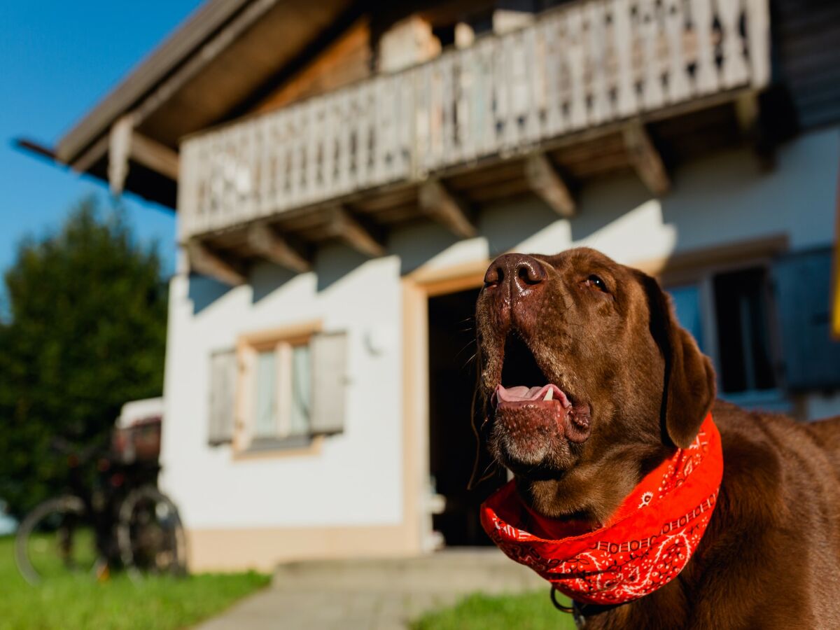Holiday house Ferienhaus im Landhausstil im Vital Camp Bayerbach - Outdoor photo 2