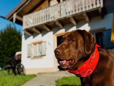 Holiday house Ferienhaus im Landhausstil im Vital Camp Bayerbach - Outdoor photo 3