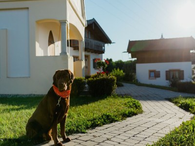 Holiday house Ferienhaus im Landhausstil im Vital Camp Bayerbach in Lower Bavaria (Danube & Inn) - Holiday house