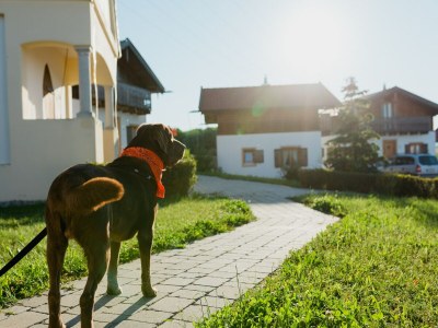 Holiday house Ferienhaus im Landhausstil im Vital Camp Bayerbach - Environment photo 18