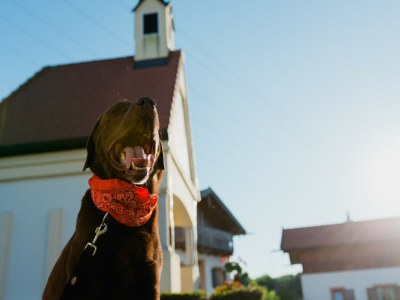 Holiday house Ferienhaus im Landhausstil im Vital Camp Bayerbach - Environment photo 18