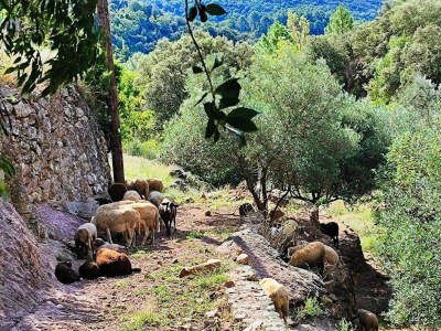 Holiday house Charming holiday home with swimming pool. - Environment photo 28