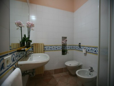 Holiday park Residence The Garda Village in Sirmione - Features photo 18