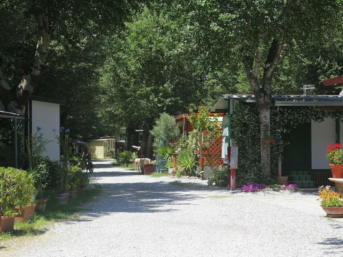 Holiday park Mobilheim im Caravanpark Marina in Sarzana - Outdoor photo 5