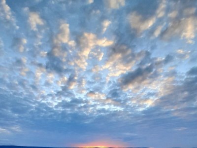 Apartment One bedroom apartment near beach Podstrana, Split A-13725-a - Outdoor photo 36