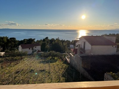 Apartment One bedroom apartment with terrace Ivan Dolac, Hvar A-22459-b - Outdoor photo 20