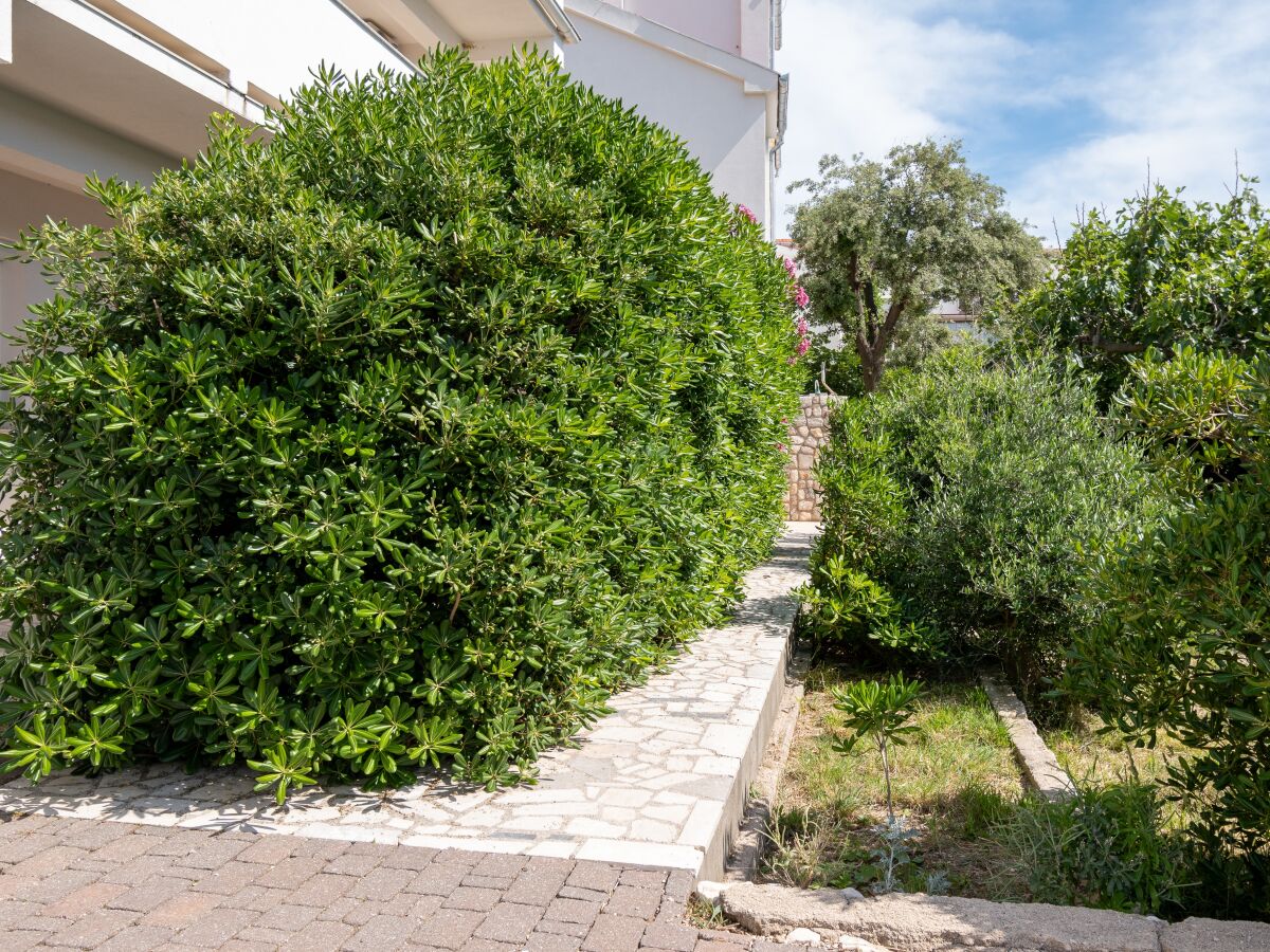 Apartment Two bedroom apartment near beach Pag A-24467-a - Outdoor photo 2