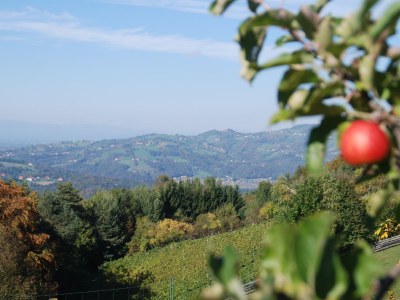 Holiday house Hebenstreit Comfort House - Outdoor photo 7