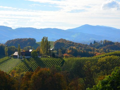 Holiday house Hebenstreit Comfort House - Outdoor photo 8