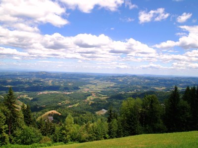 Holiday house Hebenstreit Comfort House - Outdoor photo 11