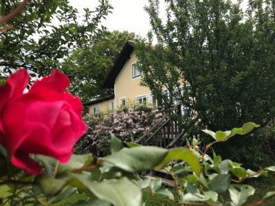 Holiday house Hebenstreit Comfort House - Outdoor photo 13