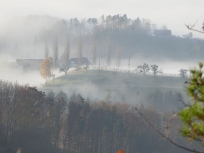 Holiday house Hebenstreit Comfort House - Outdoor photo 14