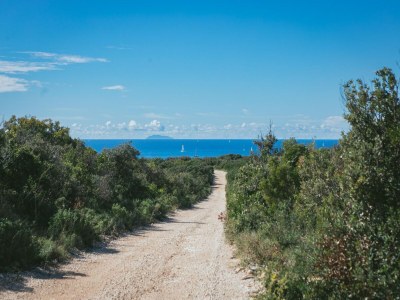 Holiday house Adriatic Heritage Glamping on Island - Environment photo 28
