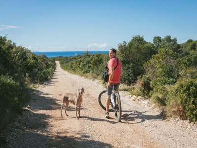 Holiday house Adriatic Heritage Glamping on Island - Environment photo 29