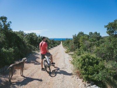 Holiday house Adriatic Heritage Glamping on Island - Environment photo 31