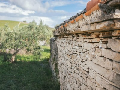 Holiday house Adriatic Heritage Glamping on Island - Environment photo 36