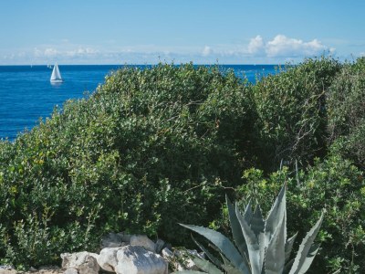 Holiday house Adriatic Heritage Glamping on Island - Environment photo 38