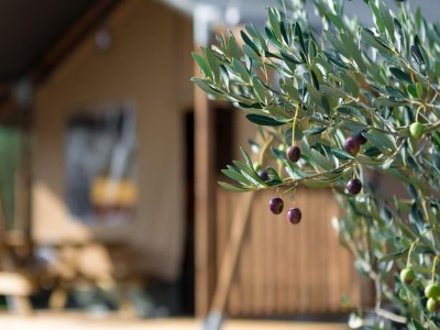 Holiday house Insel-Glamping für 4 Personen mit Whirlpool - Outdoor photo 25