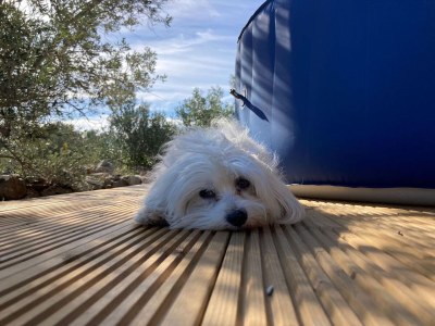 Holiday house Insel-Glamping für 4 Personen mit Whirlpool - Outdoor photo 26