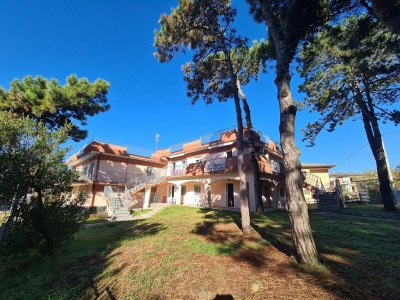 Apartment Apartment in Rosolina Mare near centre - Outdoor photo 4