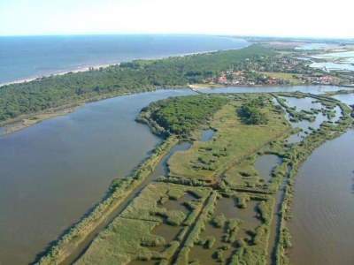 Apartment Apartment in Rosolina Mare near centre - Environment photo 17